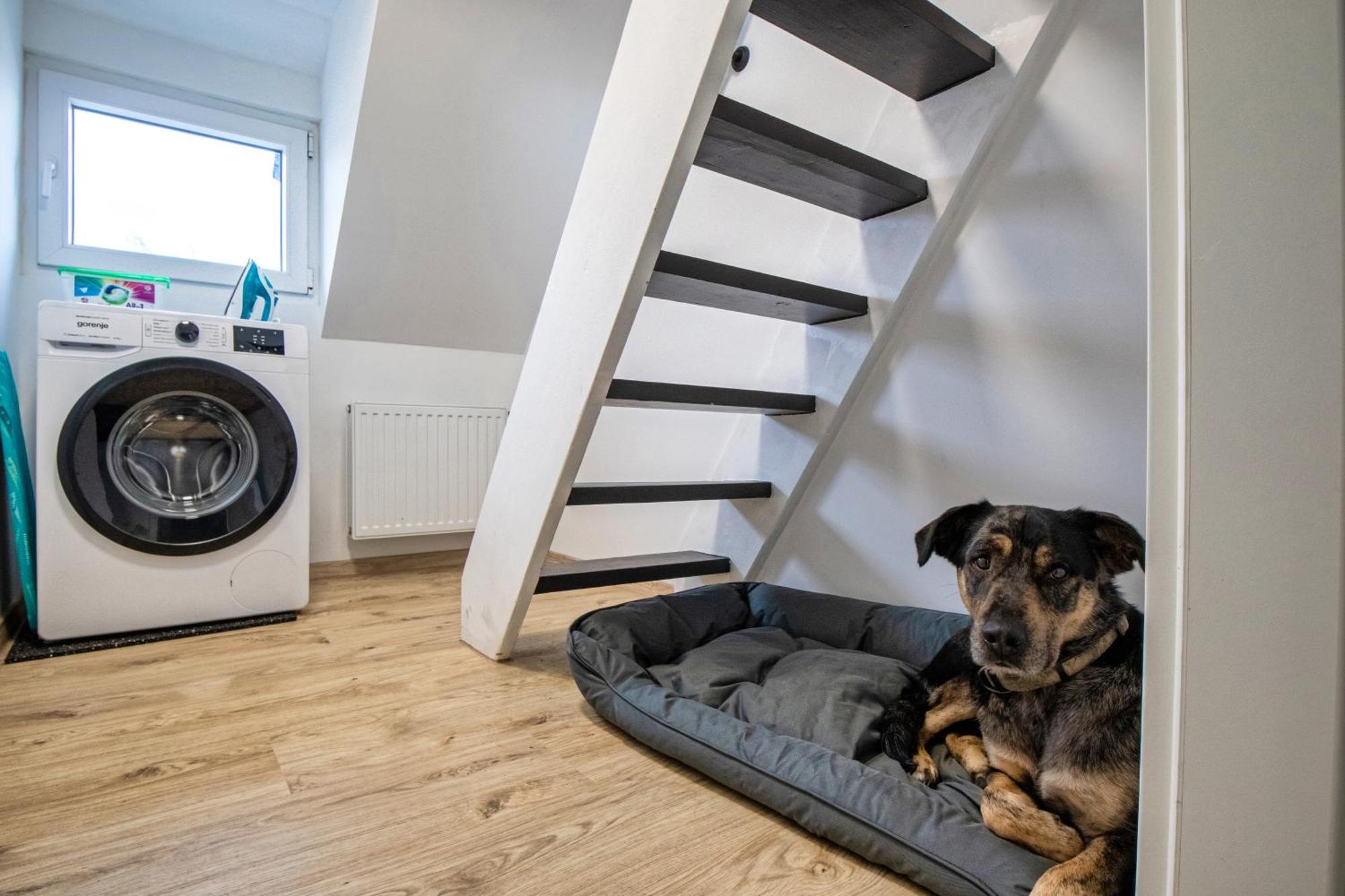 110 Qm Penthousewohnung Bei Bonn / Koeln Lohmar Eksteriør bilde